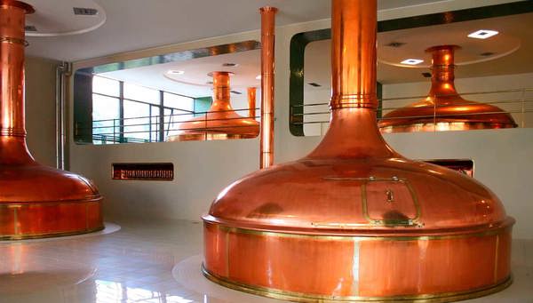 Pilsen:…Beer moves a city. Admission to the Beer Museum included.